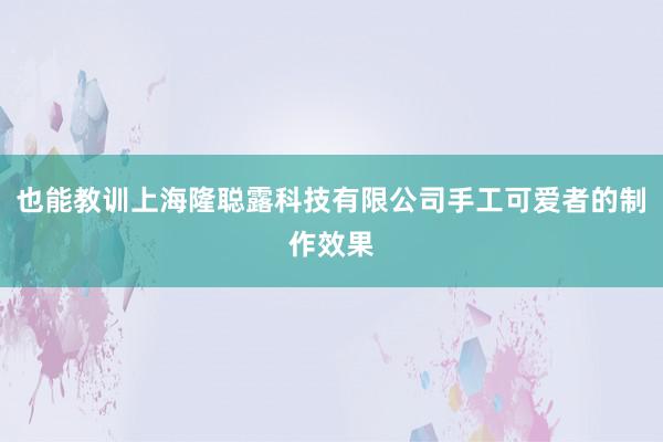 也能教训上海隆聪露科技有限公司手工可爱者的制作效果