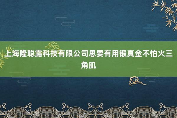 上海隆聪露科技有限公司思要有用锻真金不怕火三角肌